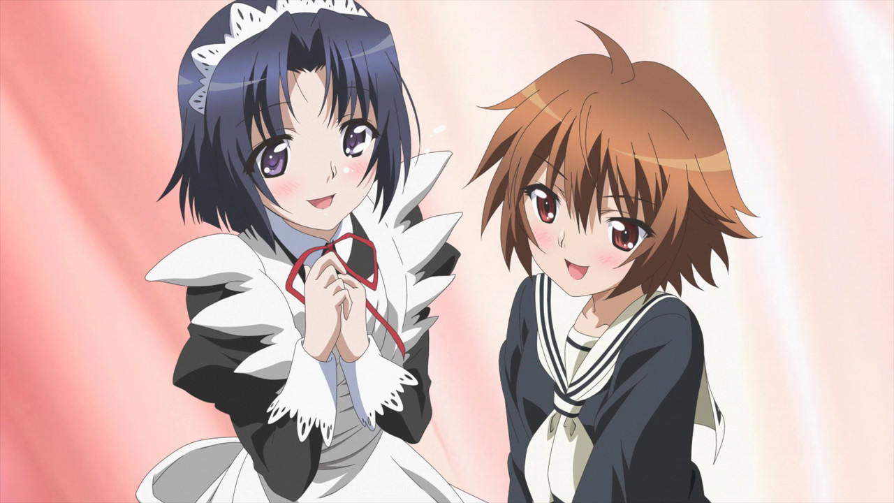 Swing Out Sisters Complete Edition Backdrop