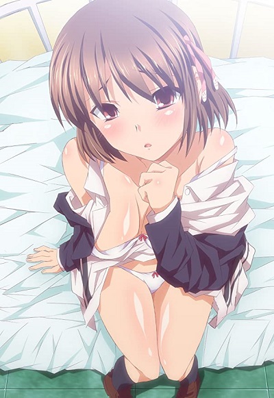 Copertina di Hakoiri Shoujo: Virgin Territory